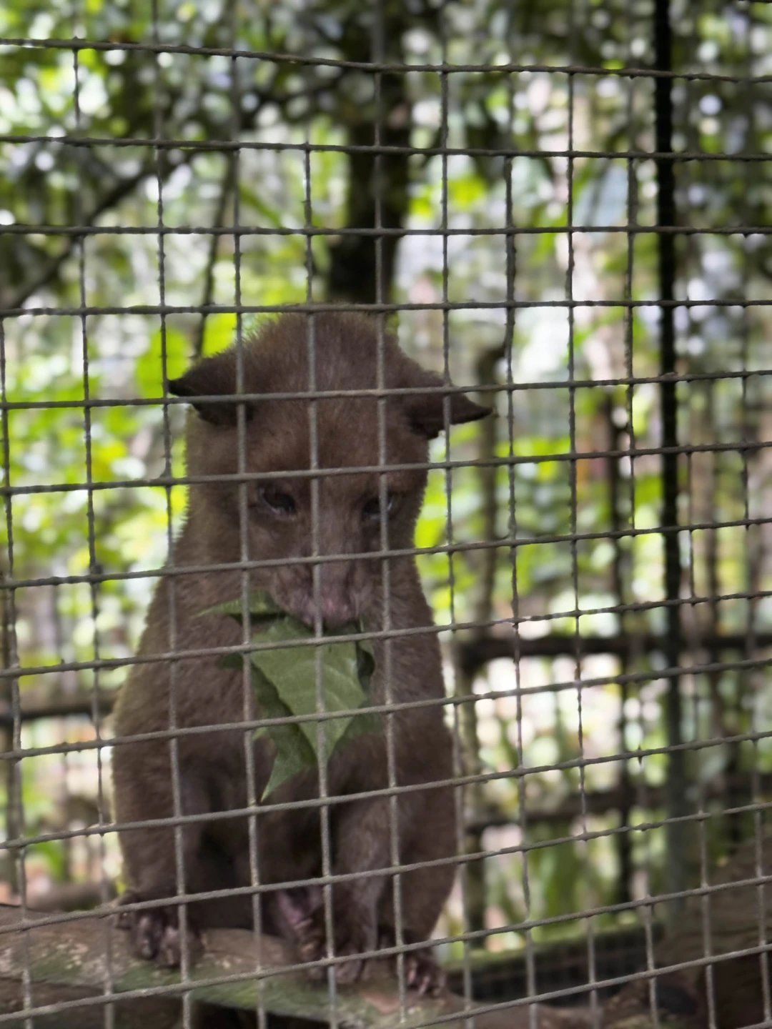 Очень понравится гид Ваян, дружелюбный, рассказывает всё понятно, фотографирует)