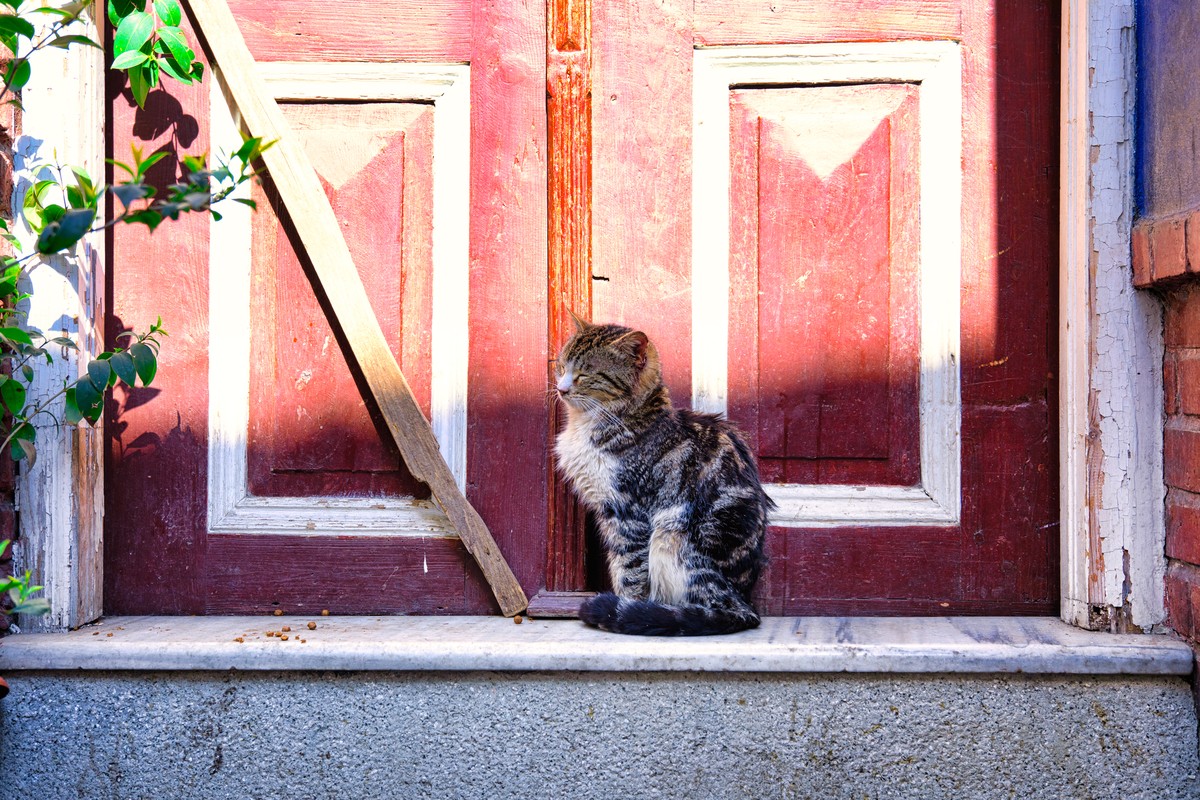 Фото Стамбул по-настоящему
