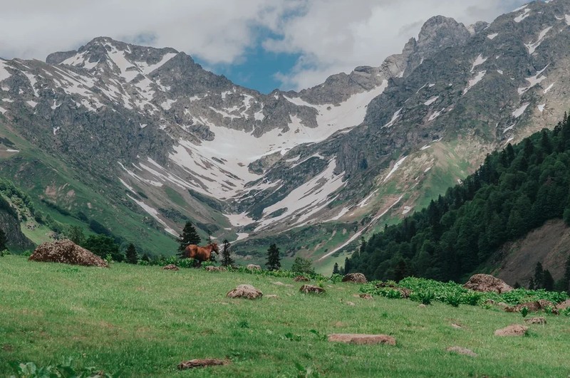 Горная Абхазия, фото и пикник на альпийских лугах! (Из Гагры)
