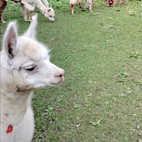 reviews img