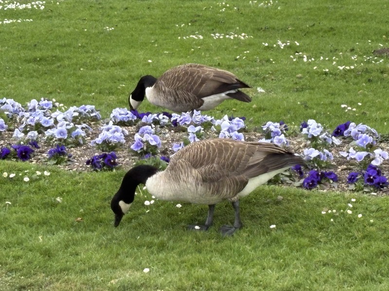 Нимфенбург - летняя резиденция баварских королей