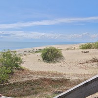 Фото отзыва 3: экскурсия "Первый раз на Куршской косе — из Зеленоградска"