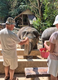 Фото отзыва 2: экскурсия "Тайные тропы Као Лак: слоны, водопад и&nbsp;спасённые животные"