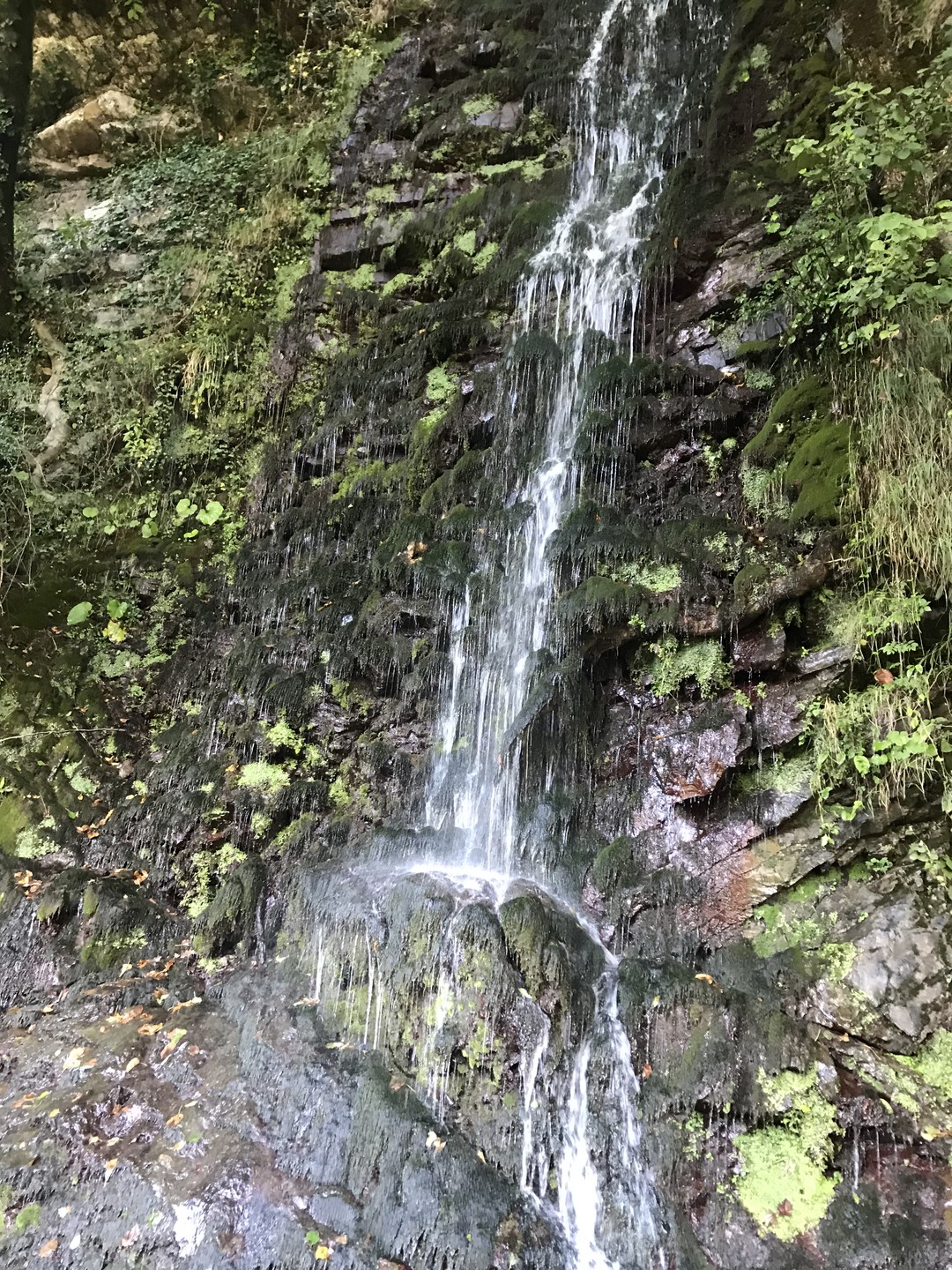 Прошлое и современность в Красной Поляне - из Сочи (Надежда)