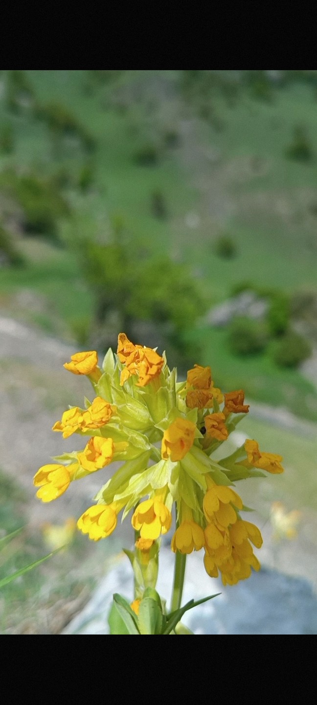 Всë понравилось. Олег интересный рассказчик, внимательный гид, знающий историю края. Автомобиль комфортный, чувствуешь себя пассажиром бизнес-класса.