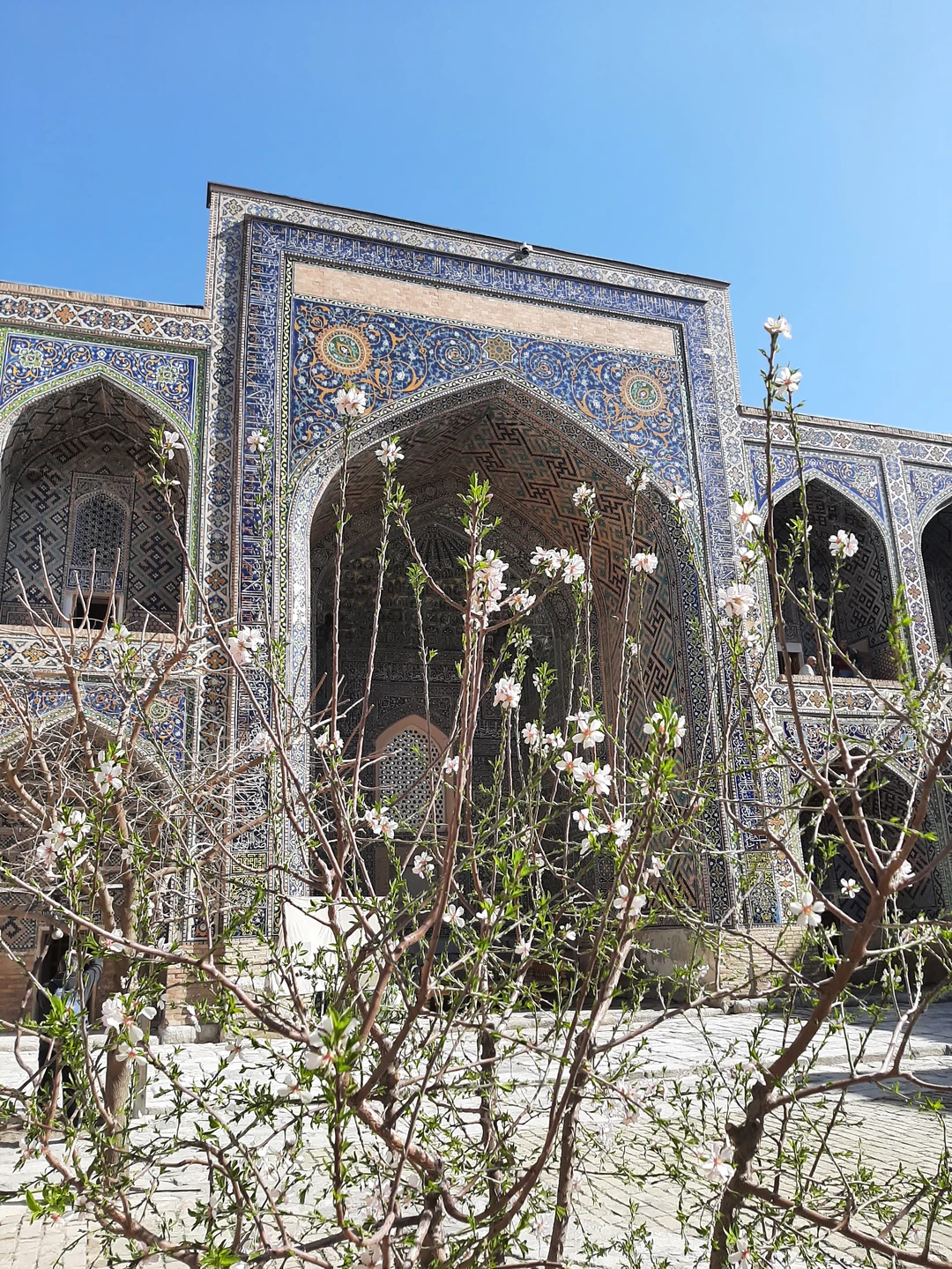 Погружение в Самарканд: 5 часов красоты и истории (Анжелика)