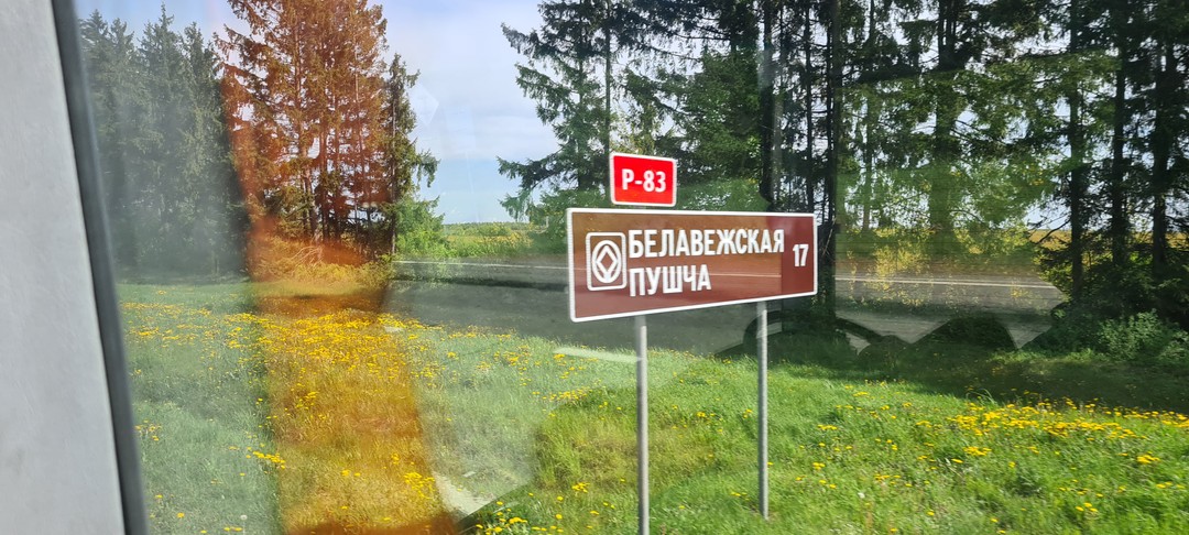 Беловежская пуща по выходным и праздникам (Александра)