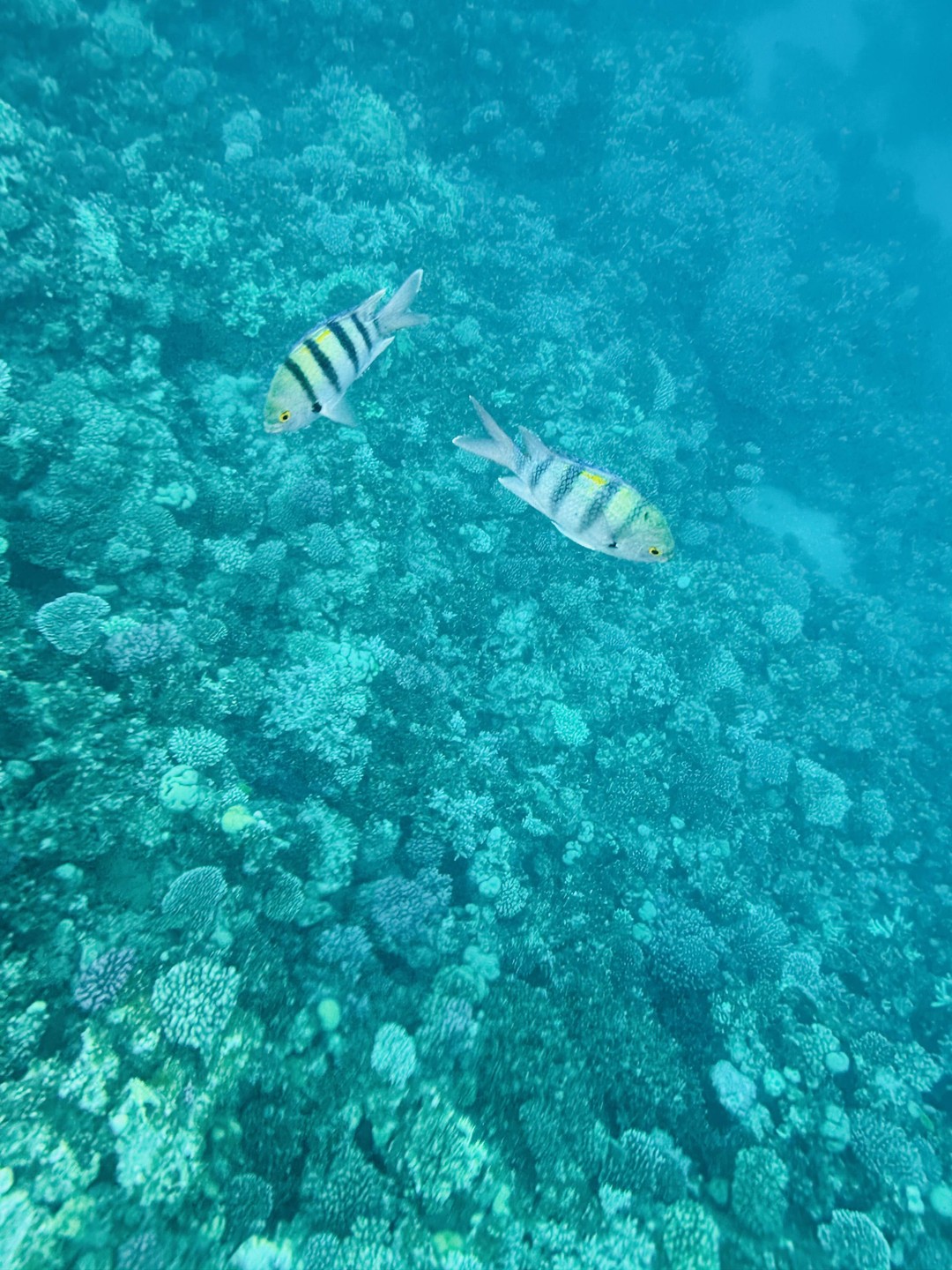 Честно говоря, особых ожиданий не было, - начиталась отзывов после бронирования и успела расстроиться и настроить