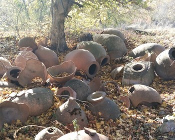 Цхинвал и окрестности