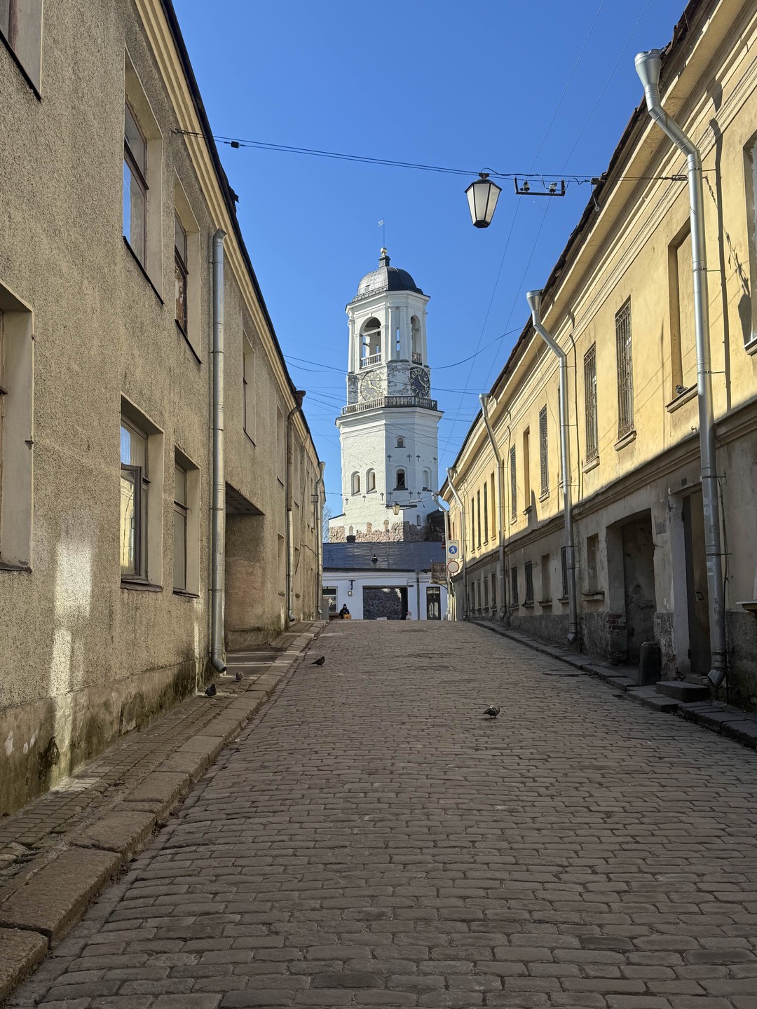 Все краски Выборга на авто (Кристина)