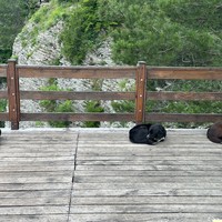 Фото отзыва 3: экскурсия "Завтрак в горах: поход на рассвете к Орлиным скалам и Агурскому ущелью"