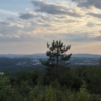 reviews img