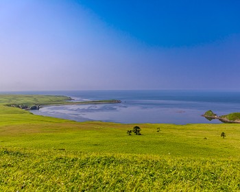 Живописные бухты: Дельфин, Звёздная и Малая Звёздная, бухта Гальцева