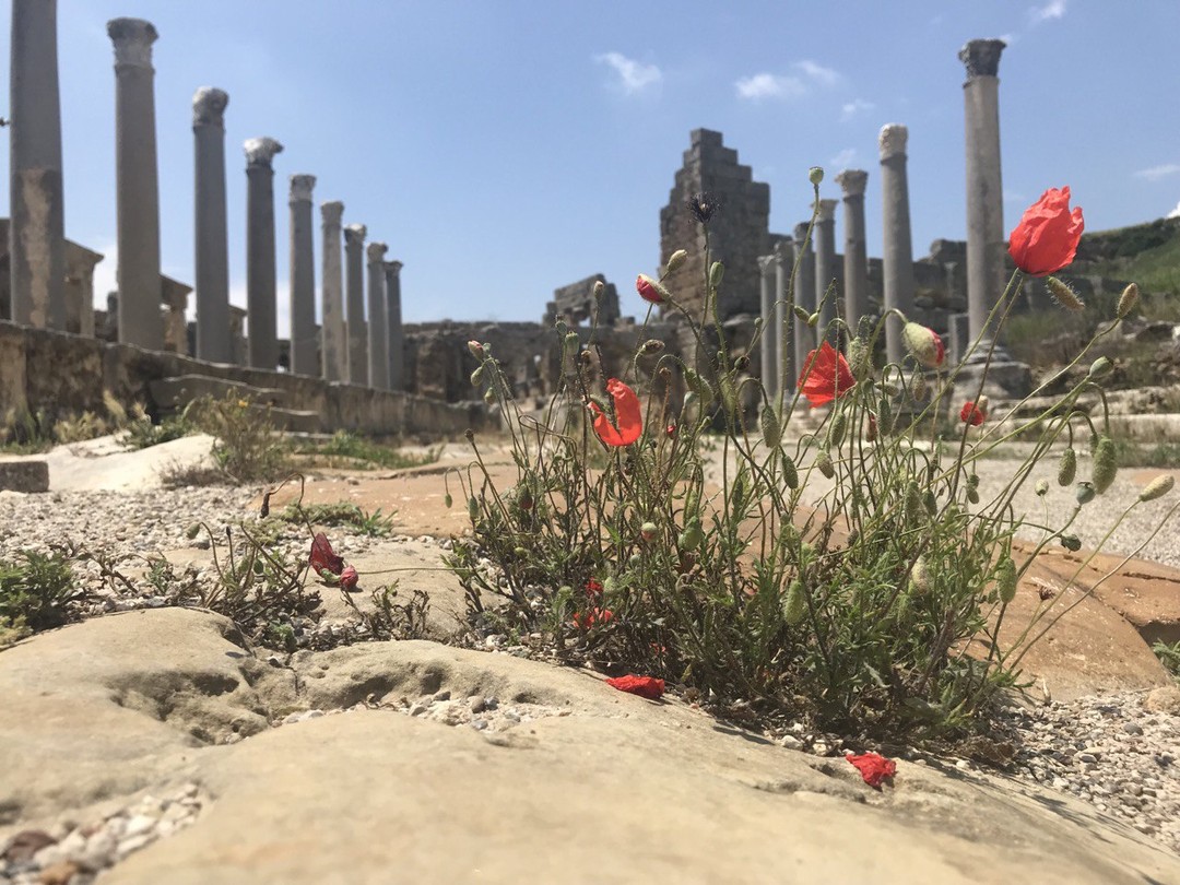 Были с Угуром на экскурсии 31 мая. Нас было трое: я, муж и ребенок 7 лет. Если коротко: нам очень понравилось.