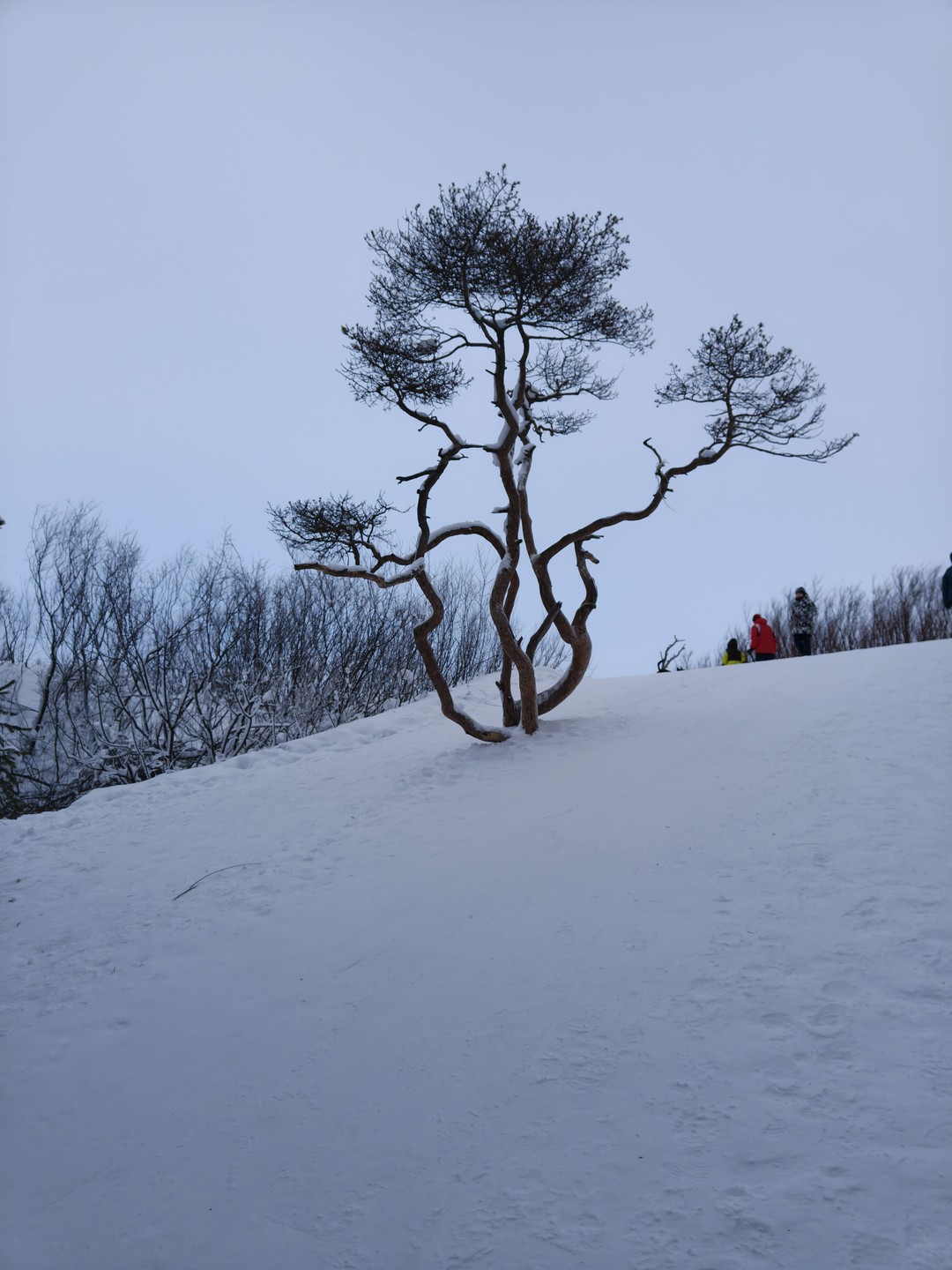 Сергей отличный гид! 👍 Нам очень понравилось с ним ездить и к Северному сиянию ночью и