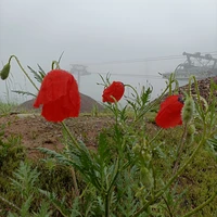 Фото отзыва 6: экскурсия "Из&nbsp;Ташкента&nbsp;— к&nbsp;курортам Чарвак, Чимган и Амирсой"