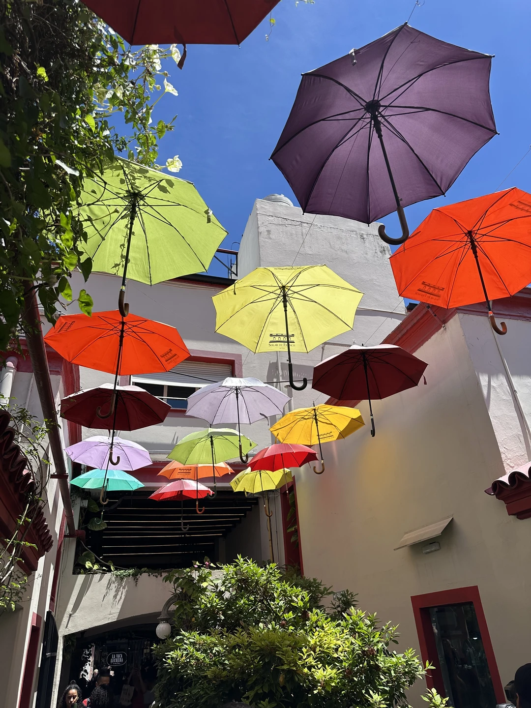 Все было отлично, как говорил гид Ольга: