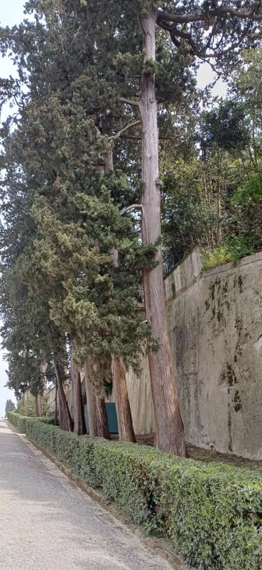 Сады Боболи - шедевр итальянского Ренессанса