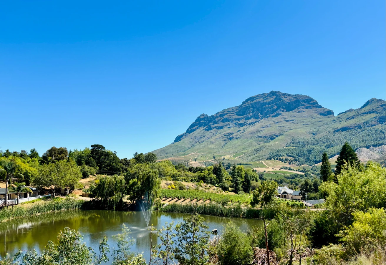 Бренди, истории и звёздный жираф