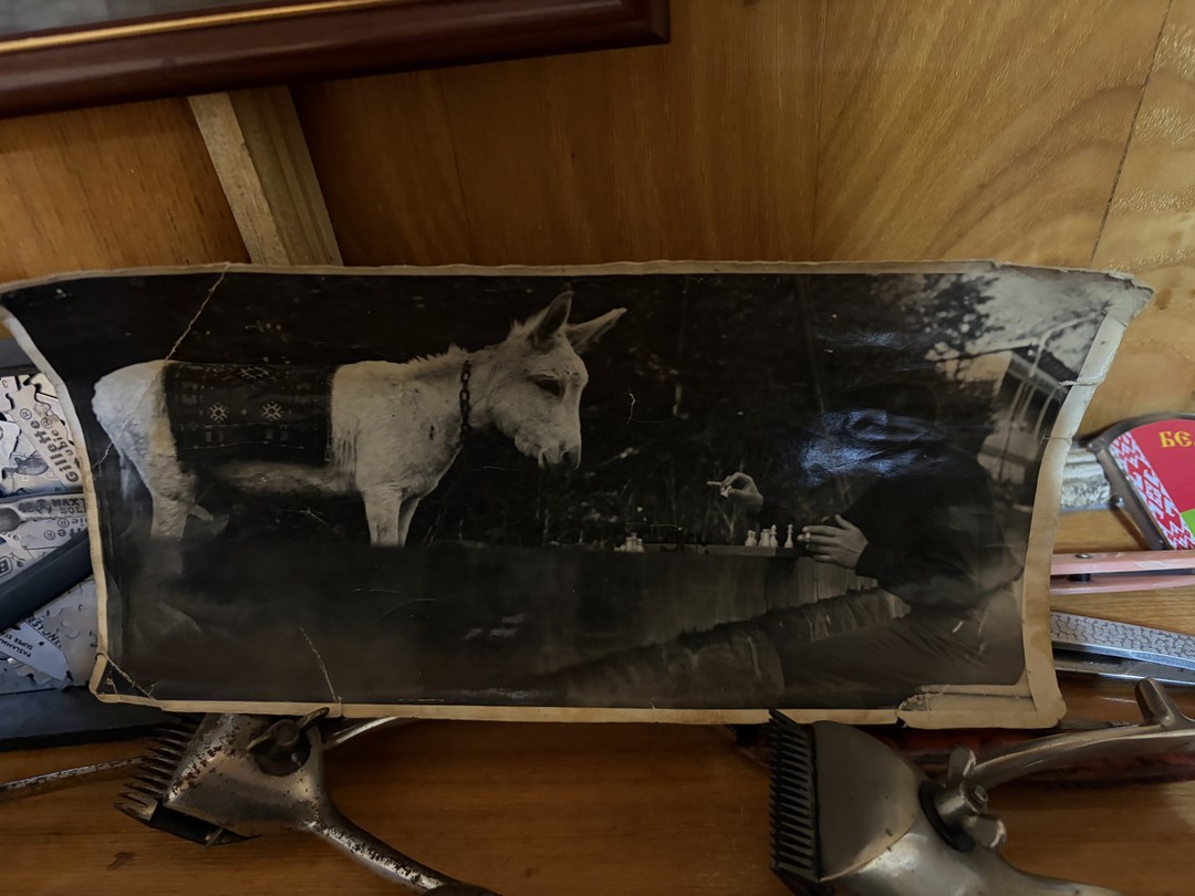 Очень интересная экскурсия, длилась 3-3:30 часа, было видно что экскурсовод Ира владела очень хорошо историей Гюмри