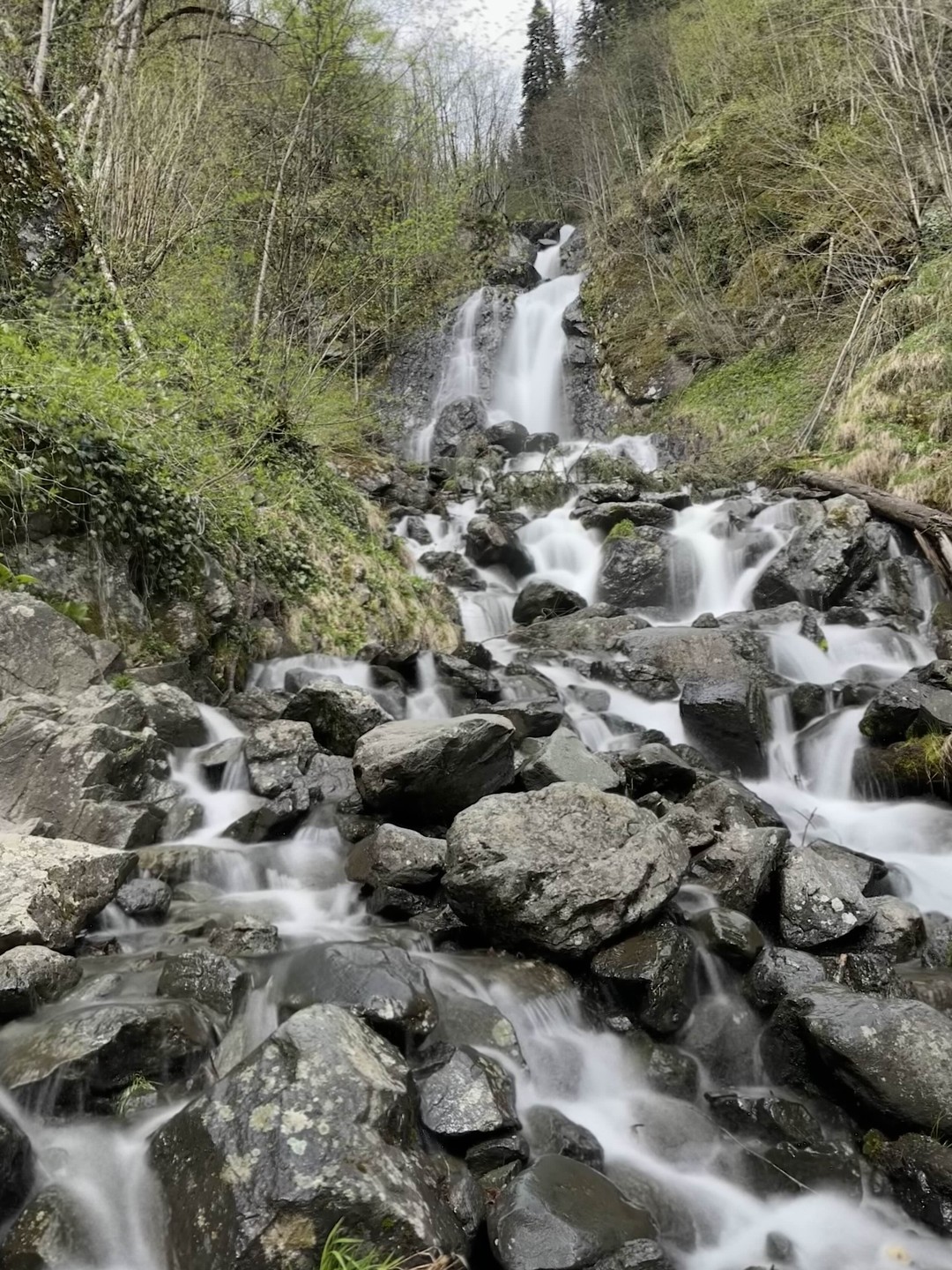 С уверенностью могу порекомендовать данную экскурсию! Очень интересный и четко продуманный маршрут: за пол дня мы