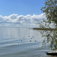Фото отзыва 1: экскурсия "Куршская коса + Зеленоградск (из Калининграда)"