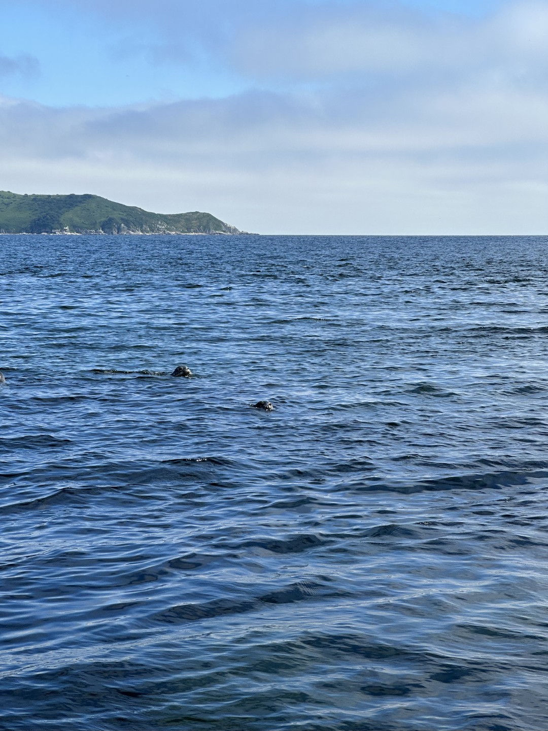 Здравствуйте!