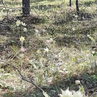 Фото отзыва 4: экскурсия "Знакомьтесь, Астана!"