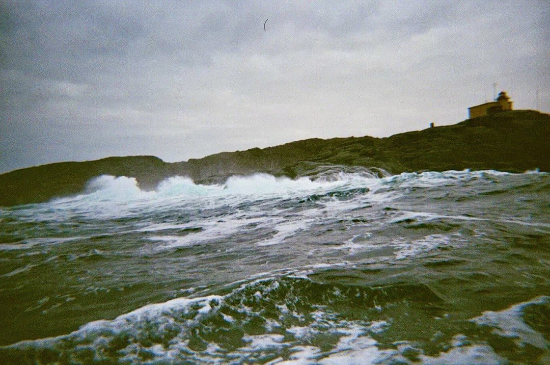 Морская прогулка из Териберки - в мини-группе (Андрей)