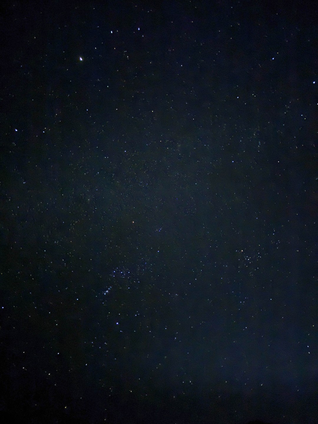 Экскурсия прошла хорошо