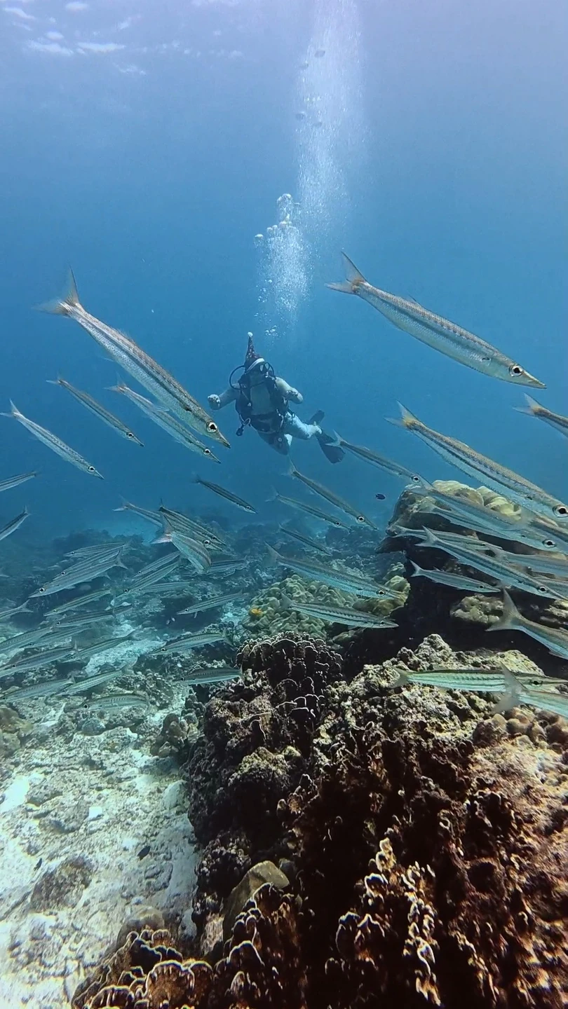 Дайвинг на Пхукете для новичков - всё включено (MINNUBAEV)