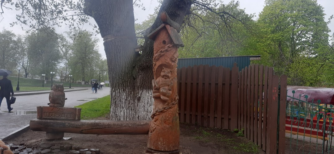 Экскурсия по Владимиру со старожилом (Александр)
