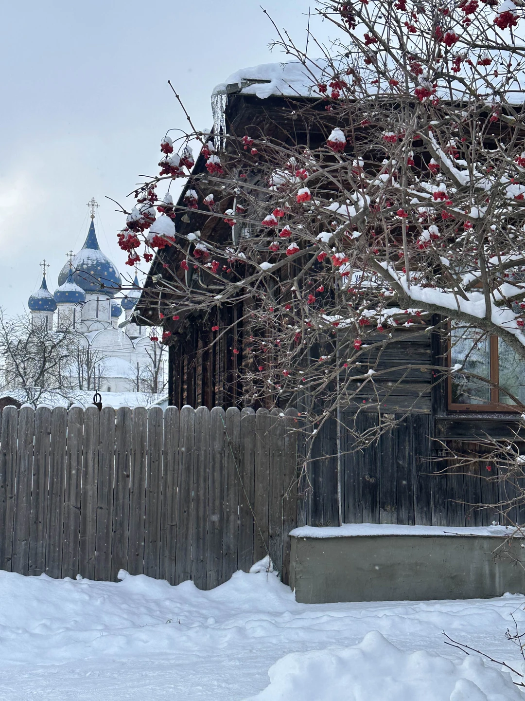Прекрасный, грамотный, дружелюбный экскурсовод! Анна влюбила нас в Суздаль! Три часа пролетели, как одно мгновение! Очень рекомендую!