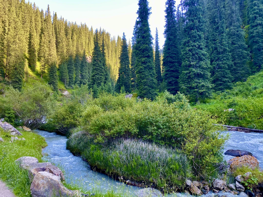 Вчера мы с семьей ездили на невероятную экскурсию в чудесное ущелье Алтын-Арашан, потрясающее своей мощью, красотой,