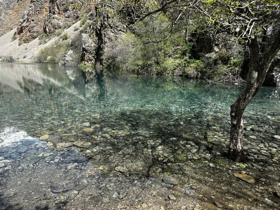 Эта экскурсия была последней в нашем отпуске и стала настоящей жемчужиной впечатлений. Понравилось все. В первую