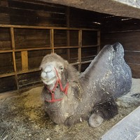 Фото туриста Жанна 2 - Экскурсия по прекрасной Стрельне