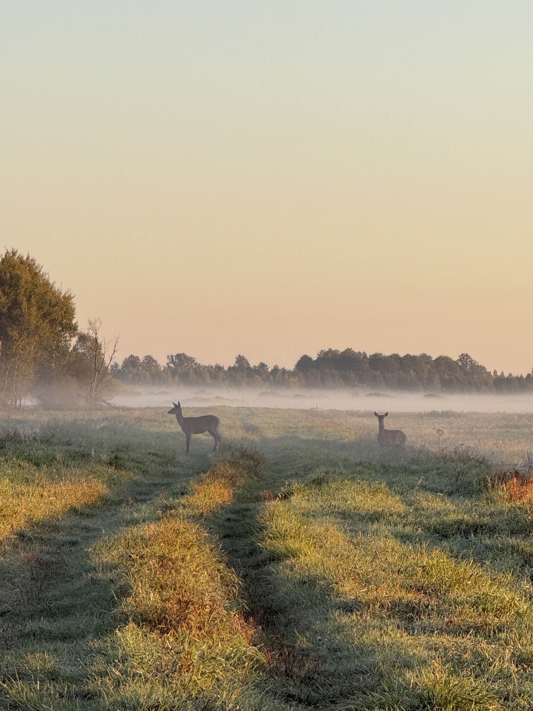 Данной экскурсией остались довольны! С непривычки так рано вставать было непросто, но это того однозначно стоило