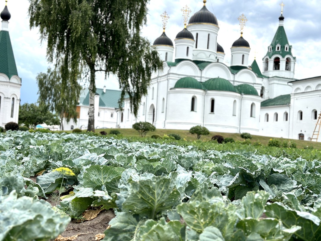 Древний Муром - град Петра и Февронии (на вашем авто) (Мария)