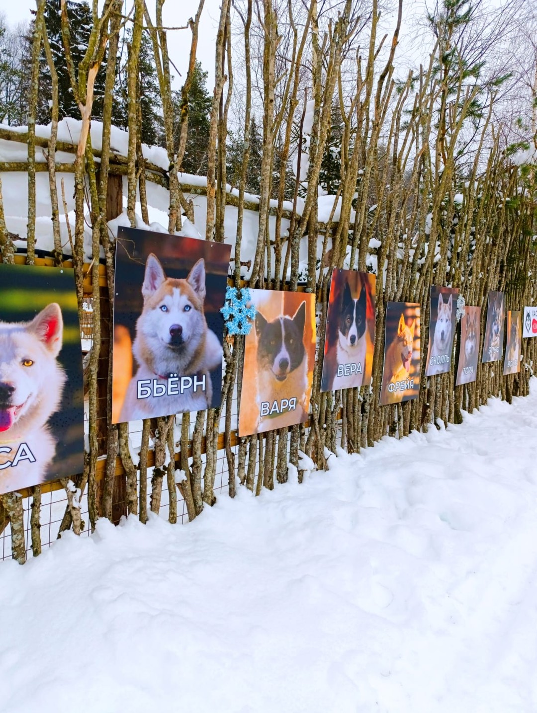 Спасибо Елене супер гид, прекрасный человек, внимательная, заботливая, очень много интересного рассказывала! Если ехать только с