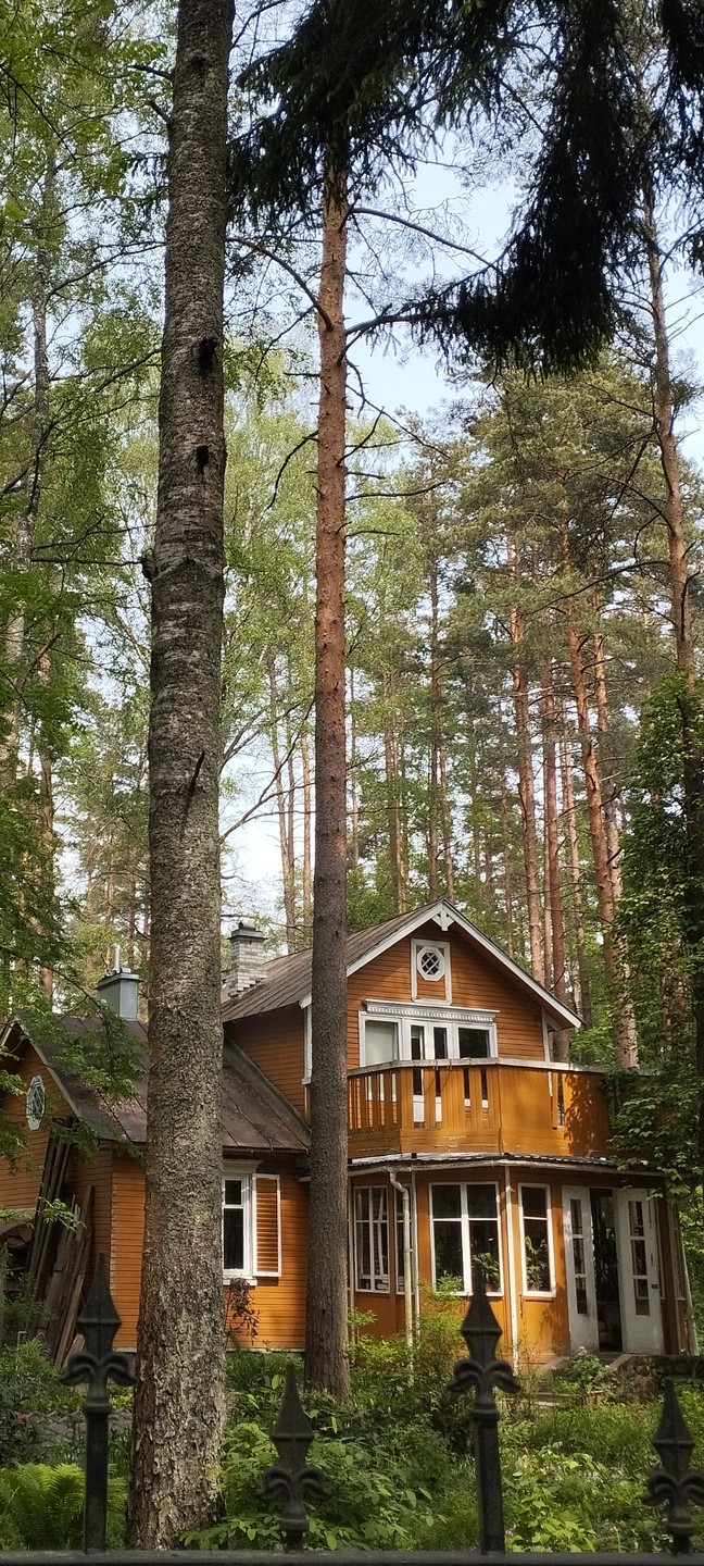 Большая прогулка по Комарово (Энглези)