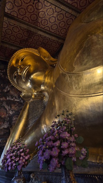 Хочу выразить огромную благодарность за потрясающую прогулку! Это был тот случай, когда гид и профессионал своего