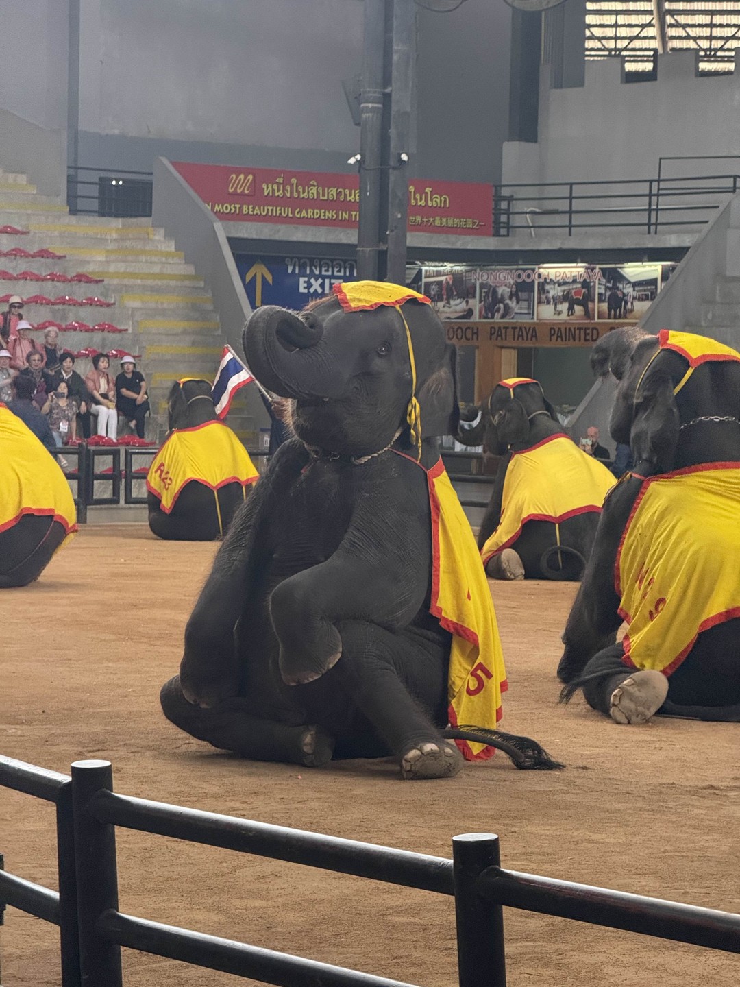 Хорошая организация поездки! Отдельное спасибо гиду Дмитрию! Очень интересно и не усыпляюще(как часто бывает) рассказывает! Экскурсия
