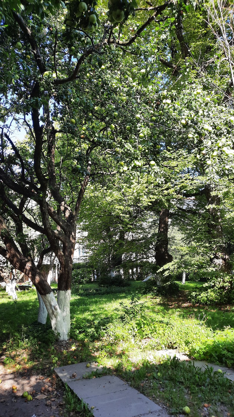 Удивительное место в центре Петербурга, скрытое от посторонних глаз. Очень рады были увидеть завораживающую красоту прошлых