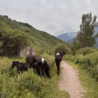 Фото отзыва 2: экскурсия "Из Алматы — по старой Японской дороге"