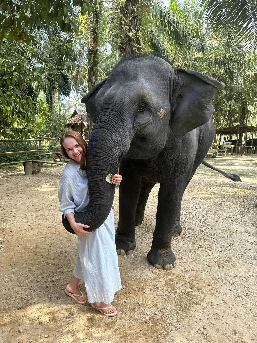 Половина локаций понравилась - много эмоций от посещения слоновника, красивое кафе с кувшинками и вечером термальные источники