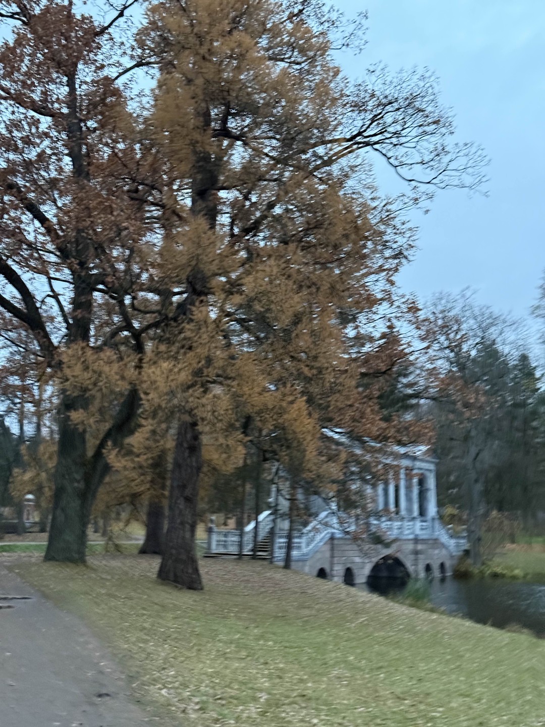 Царское Село - императорская резиденция в деталях и лицах (Любовь)