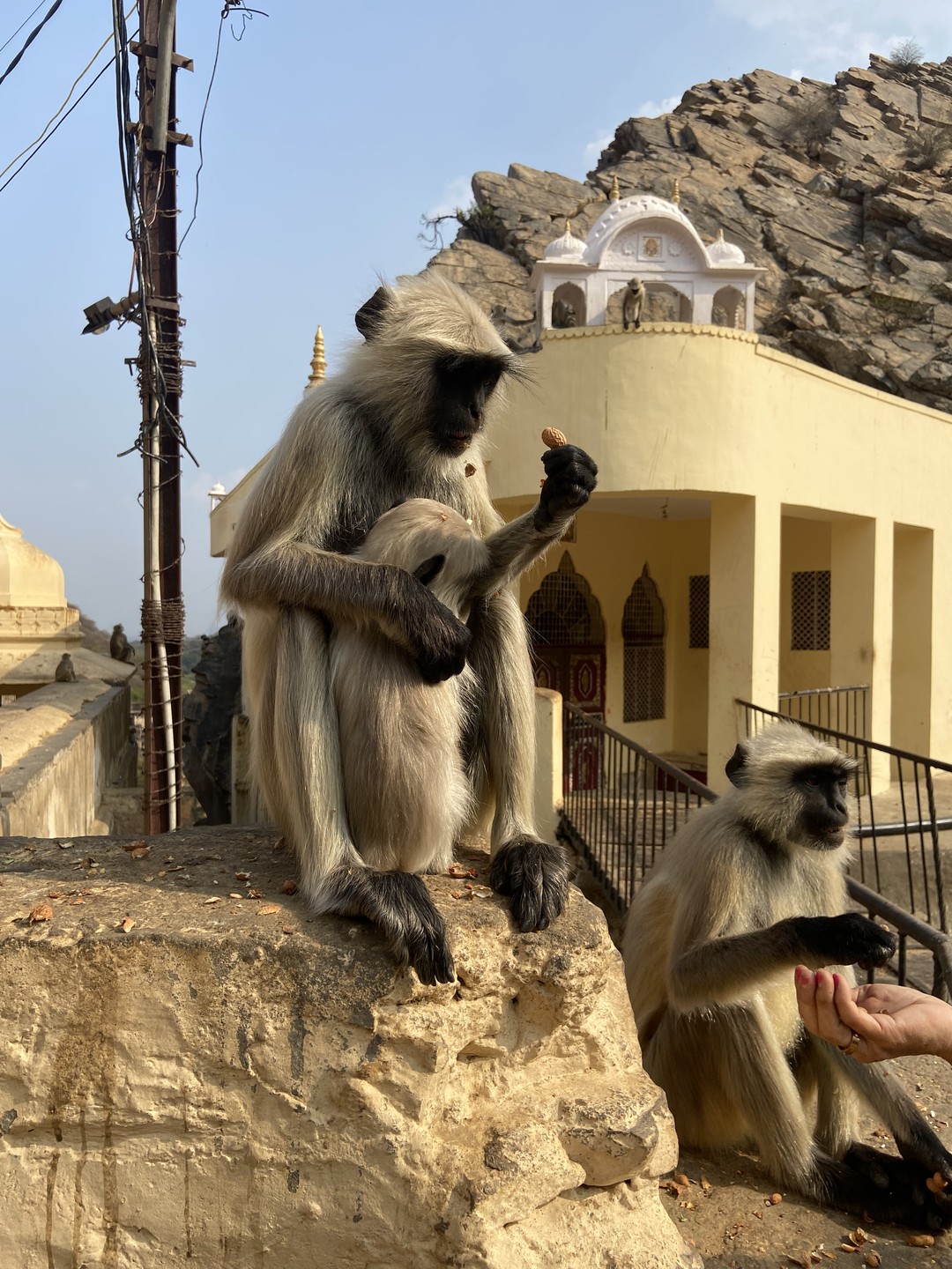 Спасибо всей Вашей команде за чудесное знакомство с Индией и ее замечательными городами и культурой! Тур
