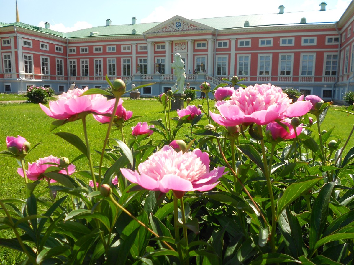 «Кусково — милый уголок» (9/10)