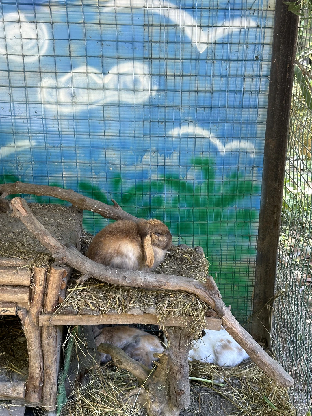 Нам с мужем очень понравилась экскурсия, успели посетить очень много красивых мест, заезжали даже в незапланированные