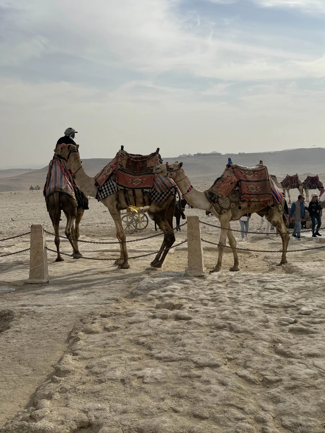 Отличная экскурсия. Намного удобнее, чем брать групповую на больших автобусах